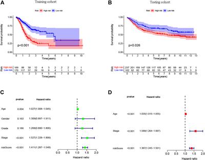 Development of a Novel Immune-Related Gene Signature to Predict Prognosis and Immunotherapeutic Efficiency in Gastric Cancer